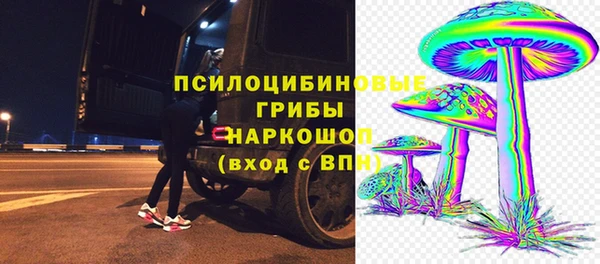 герыч Алексин