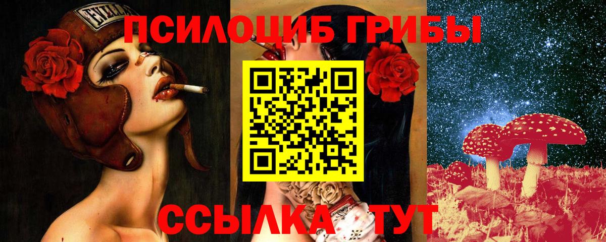 Псилоцибиновые грибы Psilocybine cubensis Одинцово